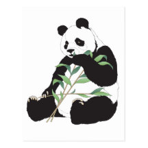 Hungriger Panda Postkarte