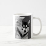Husky love teehaferl