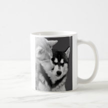 Husky love teehaferl