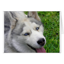 Husky-Schablone Grußkarten