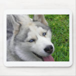 Husky-Schablone Mousepad