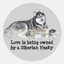 Husky-u. Welpen-Aufkleber
