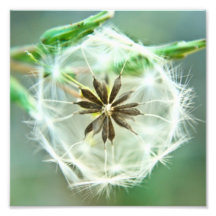 HWNo5: Versteckte Wunder Nr. 5 Photo Druck