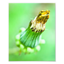 HWNo6: Versteckte Wunder Nr. 6 Kunstfoto