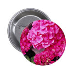Hydrangea-Blumen Button