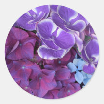 Hydrangea-Blüten Runde Aufkleber