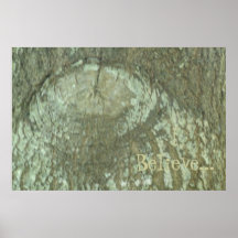 I Believe Nature Camouflage Oak Tree Eye Bark Poster