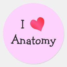 I Liebe-Anatomie Aufkleber