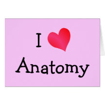 I Liebe-Anatomie Karte