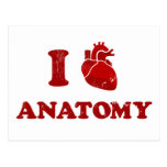 I Liebe anatomy2 Postkarten