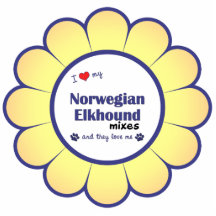 I Liebe, die mein norwegisches Elkhound mischt (me Foto Figuren