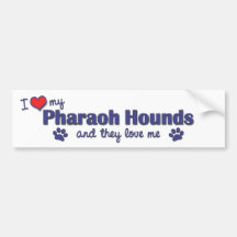 I Liebe, die mein Pharao verfolgt (mehrfache Hunde Auto Sticker