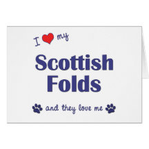 I Liebe, die mein Scottish sich faltet (mehrfache  Grußkarte
