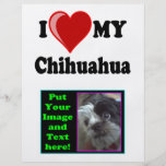 I Liebe (Herz) mein Chihuahua-Hund Individuelle Flyer