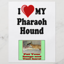 I Liebe (Herz) mein Pharao-Jagdhund-Hund Vollfarbige Flyer