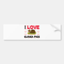I Liebe-Meerschweinchen Autoaufkleber