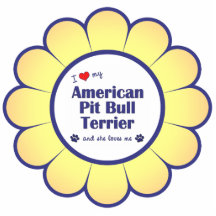I Liebe mein amerikanischer Gruben-Stier-Terrier ( Photostatuen