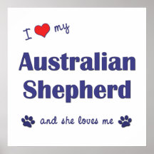 I Liebe mein australischer Schäfer (weiblicher Hun Plakate