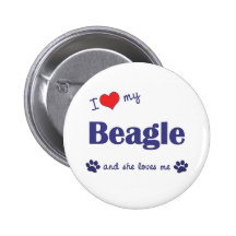 I Liebe mein Beagle (weiblicher Hund) Anstecknadelbutton