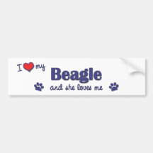 I Liebe mein Beagle (weiblicher Hund) Auto Aufkleber