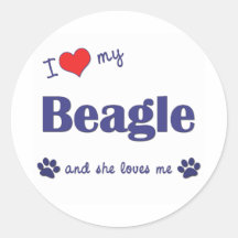 I Liebe mein Beagle (weiblicher Hund) Stickers