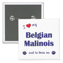 I Liebe mein belgischer Malinois (männlicher Hund) Buttons