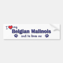 I Liebe mein belgischer Malinois (männlicher Hund) Auto Aufkleber