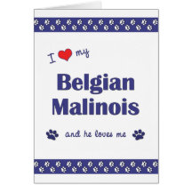 I Liebe mein belgischer Malinois (männlicher Hund) Karten