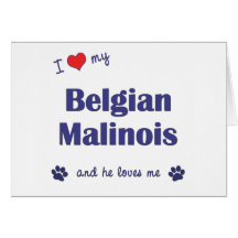 I Liebe mein belgischer Malinois (männlicher Hund) Grußkarte