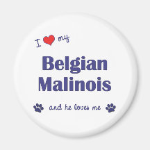 I Liebe mein belgischer Malinois (männlicher Hund) Magnete