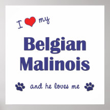 I Liebe mein belgischer Malinois (männlicher Hund) Plakatdruck