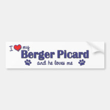 I Liebe mein Berger Picard (männlicher Hund) Autosticker
