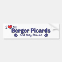 I Liebe mein Berger Picards (mehrfache Hunde) Autosticker