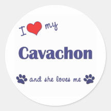I Liebe mein Cavachon (weiblicher Hund) Runde Aufkleber