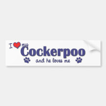 I Liebe mein Cockerpoo (männlicher Hund) Autosticker