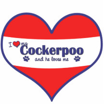 I Liebe mein Cockerpoo (männlicher Hund) Fotostatuen