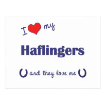 I Liebe mein Haflingers (mehrfache Pferde) Postkarte