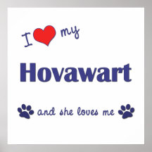 I Liebe mein Hovawart (weiblicher Hund) Plakatdrucke