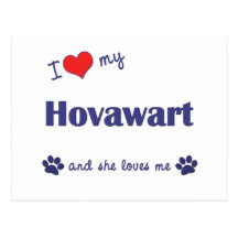 I Liebe mein Hovawart (weiblicher Hund) Postkarten