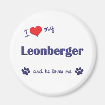 I Liebe mein Leonberger (männlicher Hund) Kühlschrankmagnete
