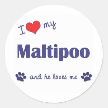 I Liebe mein Maltipoo (männlicher Hund) Runder Aufkleber