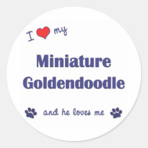 I Liebe mein MiniaturGoldendoodle (männlicher Hund Runder Aufkleber