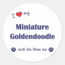 I Liebe mein MiniaturGoldendoodle (weiblicher Hund Aufkleber