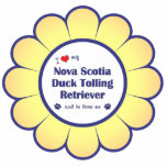 I Liebe mein Neuschottland-Enten-läutender Retriev Photo Skulpturen