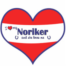 I Liebe mein Noriker (weibliches Pferd) Ausschnitt