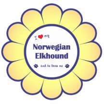 I Liebe mein norwegisches Elkhound (männlicher Hun Acryl Ausschnitte