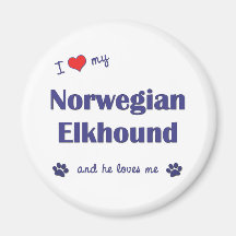 I Liebe mein norwegisches Elkhound (männlicher Hun Kühlschrankmagnet