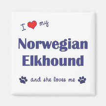 I Liebe mein norwegisches Elkhound (weiblicher Hun Kühlschrankmagnete