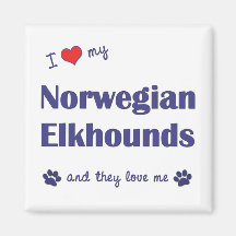 I Liebe mein norwegisches Elkhounds (mehrfache Hun Magnete
