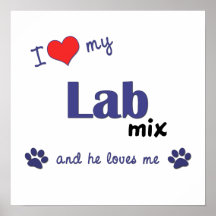 I Liebe mein Plakat-Druck der Labrador-Mischungs-(